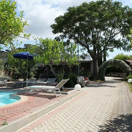 Elba Vip Апарт-отель 4*