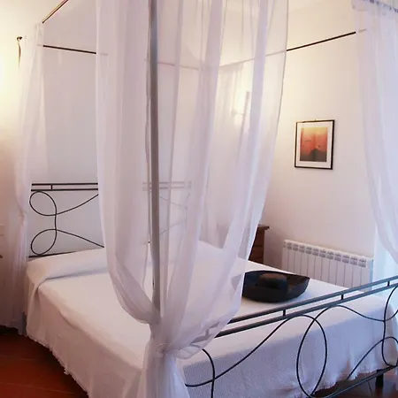 Elba Vip アパートホテル